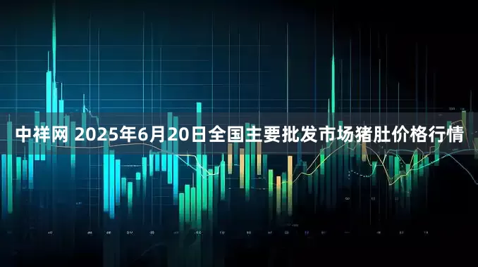 中祥网 2025年6月20日全国主要批发市场猪肚价格行情
