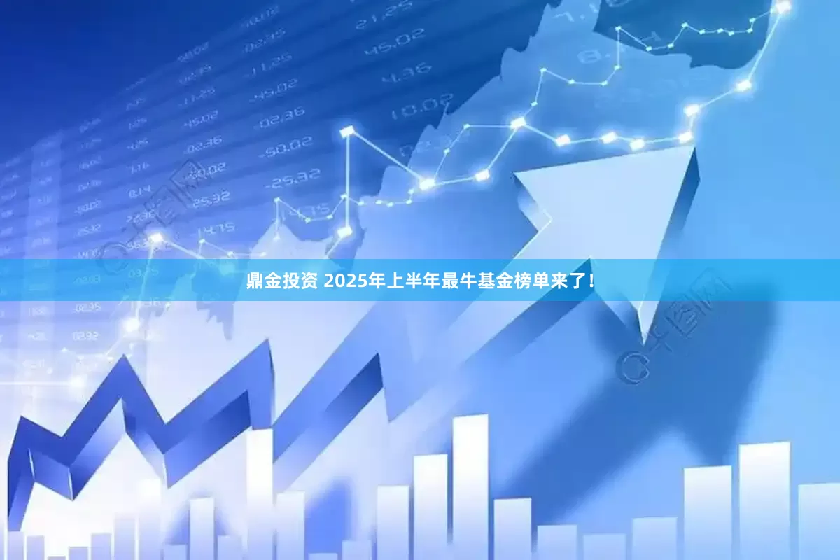 鼎金投资 2025年上半年最牛基金榜单来了！