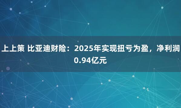 上上策 比亚迪财险：2025年实现扭亏为盈，净利润0.94亿元